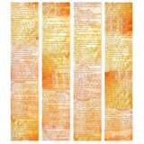  Tapeta - The Little Prince - Message Of Love 50x1000 Standard | shoptok.hr