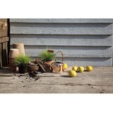 Esschert Design Zalivalka - zlata | Shoptok.si