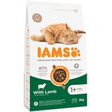  10 % popust na IAMS suho mačjo hrano! - Vitality Adult z jagnjetino (3 kg) | shoptok.hr