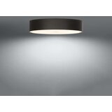  Stropna svetilka SKALA 60 črna, (21347471) | Shoptok.si