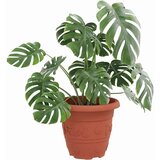  Okrugla saksija za cveće 24 pcs Crvena cigla Ø 26 x 21.5 cm - Crvena cigla Ø 22 x 18 cm 24 | shoptok.hr
