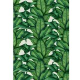  CT-5303 multicolor bathmat set (2 pieces) | Eponuda.com