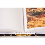  Foto album Monstera 1, 304 slike | shoptok.hr