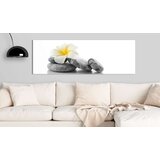 Slika - White Lotus 150x50 | shoptok.hr