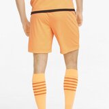 Puma Hlače 3/4, 7/8 Teamliga Oranžna | Shoptok.si