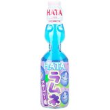  Hata Kosen, osvežavajuće bezalkoholno piće sa ukusom borovnice, 200ml Cene