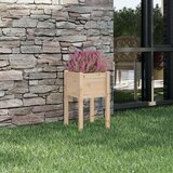 vidaXL Vrtno cvetlično korito 50x50x70 cm trdna borovina | Shoptok.si