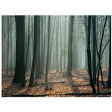  Tapeta - Witches' forest 400x309 | shoptok.hr
