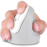 Connect IT CMO-2700-WH - Ergonomski bežični miš 800/1200/1600 DPI 1xAA beli | Eponuda.com