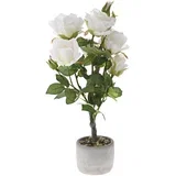 HOME Veštačka ruža u keramičkoj saksiji 62 cm bela