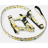 Sinsay Set oprsnice i povodca | shoptok.hr