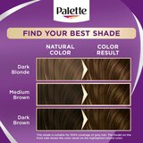 Schwarzkopf Palette Intensive Color Creme permanentna barva za lase odtenek 4-5 (G3) Truffles 1 kos | Shoptok.si