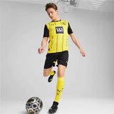  Muški Nogometni Dres Kratkih Rukava Puma Borussia | shoptok.hr
