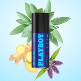 Playboy AM - PM dezodorans za muškarce 150 ml | shoptok.hr