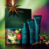 Aveda Holiday Bonds of Brilliance: Botanical Repair™ Strengthening Essentials božični darilni set za lase | Shoptok.si