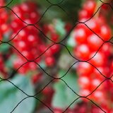 Nature Mreža za Zaštitu od Ptica "Primo" 10x10 m Crna 6030407 Cijene