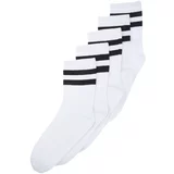 Trendyol White Men's 5-Pack Cotton Striped College-Tennis-Midsize Socks