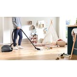 Serija 4, Usisivač s kesom, Grafit, BGL41GR3H | ePonuda.com