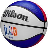 Wilson Jr NBA WNBA Drv Light Sz5 lopta | Eponuda.com