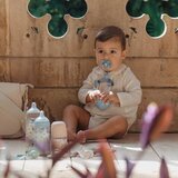 Suavinex Butterfly Wonderland SX Pro Physiological 6-18 m duda Blue+Cream 2 kos Slike