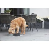 MiaCara porcelanasta posoda za hrano za pse ø 16 cm scodella graphite s/m | Shoptok.si