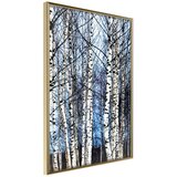  Poster - Winter Birch Trees 40x60 Cijene