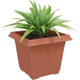  Kvadratna cvetlična posoda 6 pcs Kamnito rdeča Plastika, (5000207677) | Shoptok.si