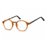Berkeley Naočare AC18 C | ePonuda.com