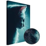  Slika - Night Tramp (1 Part) Vertical 20x30 Premium Print | shoptok.hr