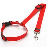 INF Nastavljiv varnostni pas za hišne ljubljenčke - varno na vožnjah z avtomobilom Red, (5000124549) | Shoptok.si