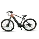 X-plorer E-bike MTB KILIMAJARO 29 R19.5 cene