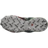 Salomon Speedcross 6 Gtx sarena | shoptok.hr