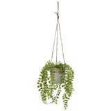 Casa Selección Umjetna biljka (visina 34 cm) – Cijene