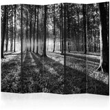  Paravan u 5 dijelova - Grey Wilderness II [Room Dividers] 225x172 Cijene