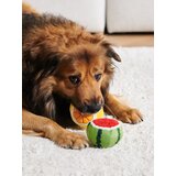 Sinsay Igračka za psa 2 pack | shoptok.hr