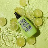 The Fox Tan Rapid Man osvežujoče pršilo za telo pospešujoči porjavitev za moške 120 ml | Shoptok.si