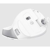 Trust Bayo II ergonomskiwireless miš, bijeli | Eponuda.ba