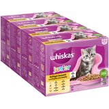 JUMBO pakiranje Whiskas 1+ Adult vrečke 96 x 85 g - Junior perutninski izbor v želeju | shoptok.hr