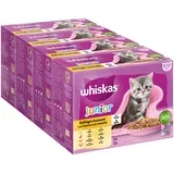 pakiranje Whiskas 1+ Adult vrečke 96 x 85 g - Junior perutninski izbor v želeju