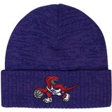 Mitchell And Ness toronto raptors mitchell & ness hwc fandom zimska kapa Cene