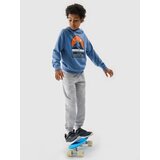 4f Boys' Hoodie - Blue | Shoptok.si