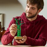 Lego Botanical Collection - Bambus za srečo (10344) | Shoptok.si