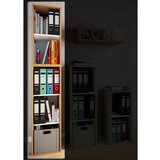 MID.YOU pisarniški regal lona, bukev | Shoptok.si
