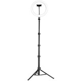  Tripod style + Ring light HQ-10 10" | Eponuda.ba