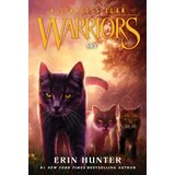 Harper Collins Publishers Ltd Erin Hunter - Warriors A Starless Clan, Vol. 2: Sky Cene