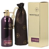 Montale Paris Aoud Purple Rose Eau De Parfum 100 ml (unisex) | shoptok.hr