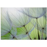  Tapeta - Fleeting moments 100x70 | shoptok.hr