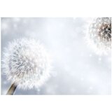  Tapeta - Unpredictable moments 200x140 | shoptok.hr