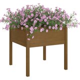 vidaXL vrtno cvetlično korito medeno rjavo 70x70x70 cm trdna borovina | Shoptok.si