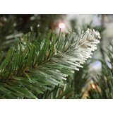 G-Trees Gusta novogodišnja jelka Bor sa belim vrhovima 250 cm | ePonuda.com